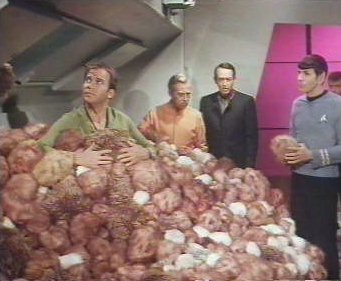 tribble3.jpg